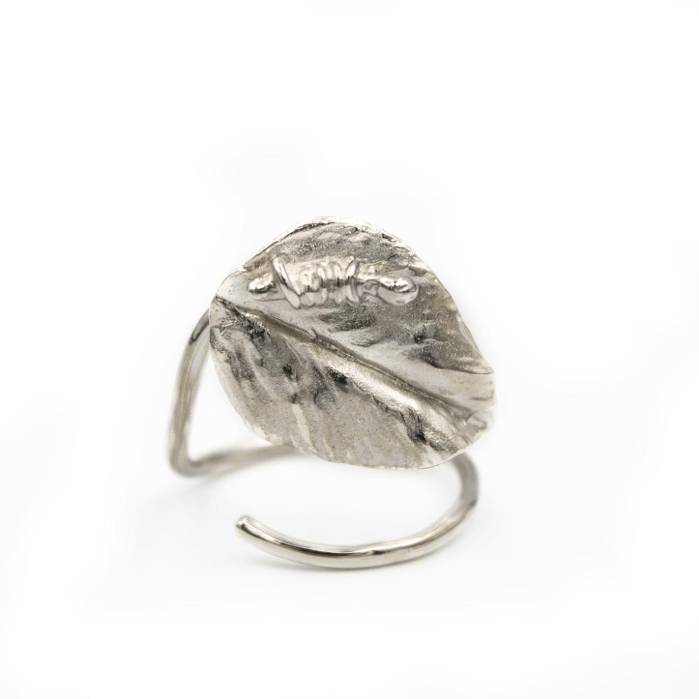 Anillo Eco Floral Espiral