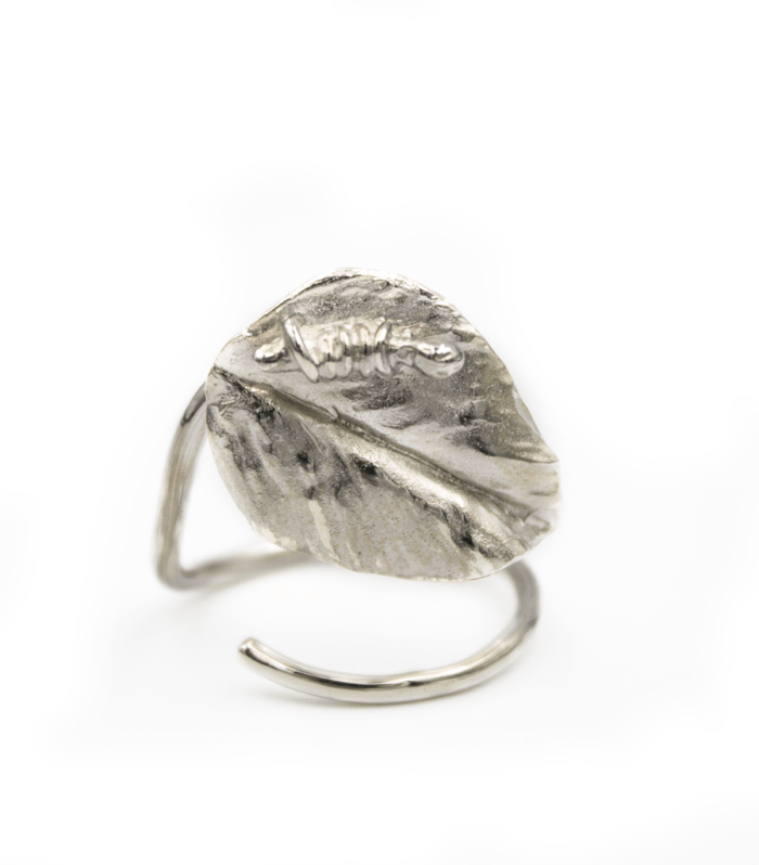 Anillo Eco Floral Espiral